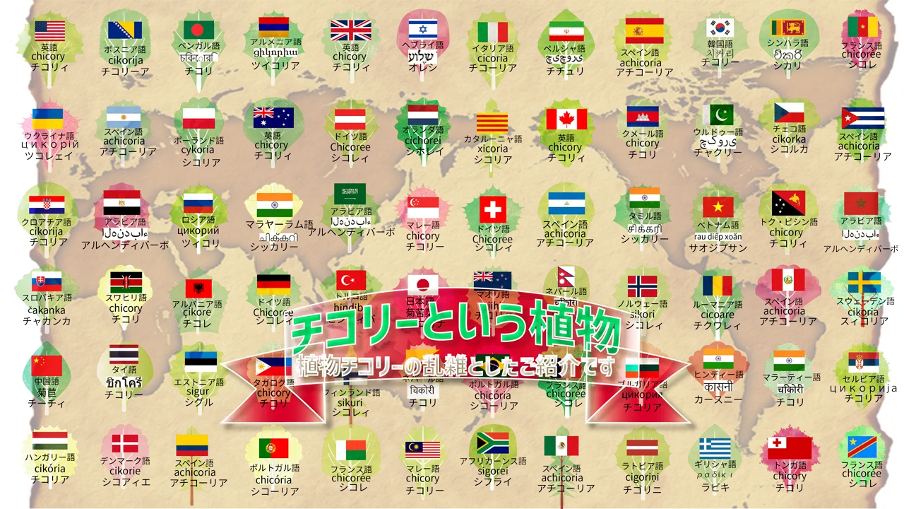 ちこり マイクロチコリ | 株式会社 新紙浅